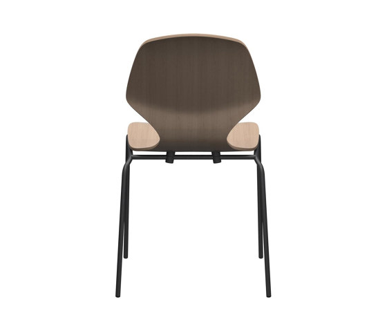 Florence Chair D088 | Sillas | BoConcept