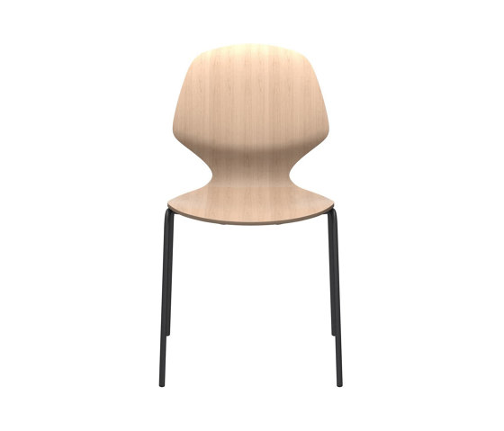 Florence Chair D088 | Sedie | BoConcept