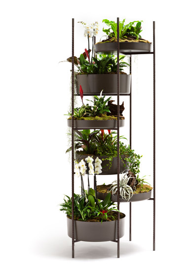 Vertical Garden | Vasi piante | Exteta