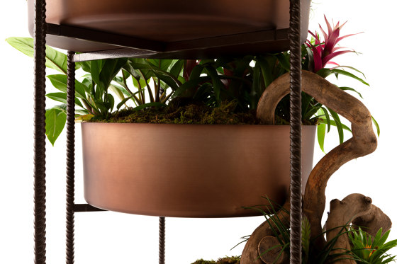Vertical Garden | Vasi piante | Exteta