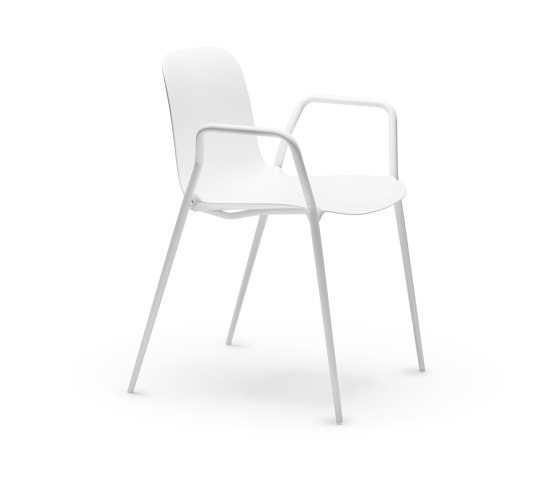 Dogo P | Chairs | CHAIRS & MORE