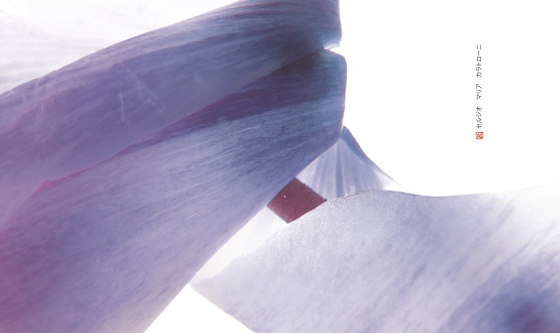 petals | cycla | Arte | N.O.W. Edizioni