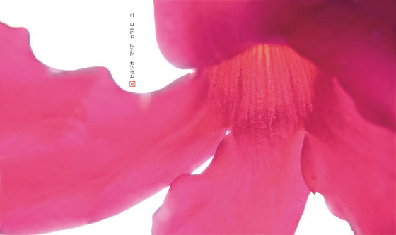 petals | nemo | Wandbilder / Kunst | N.O.W. Edizioni