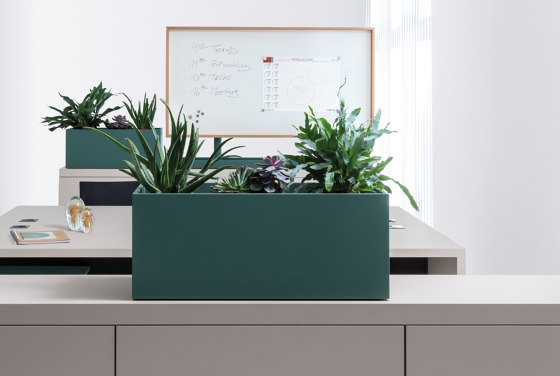 basic top | plant container | Maceteros | werner works