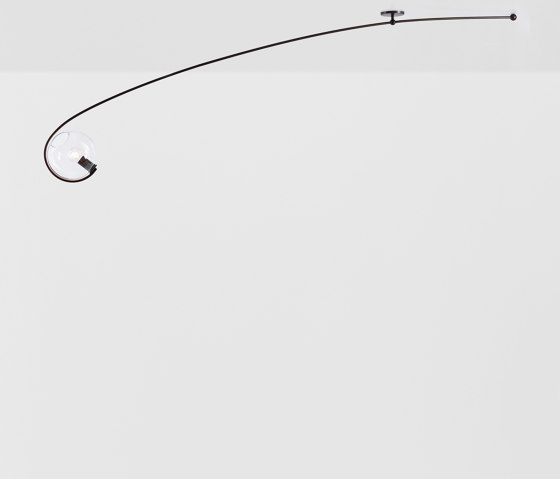 Fiddlehead Cantilever (Bronze/Clear) | Lampade plafoniere | Roll & Hill