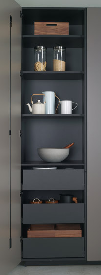 Accessories and equipment for tall units and glass door units | Kitchen organization | Santos