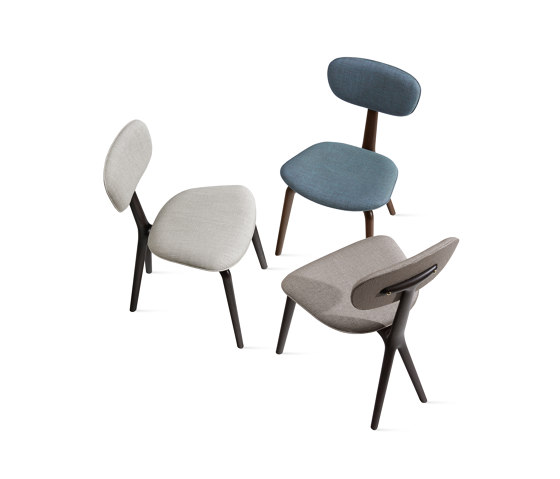 Rondine | Chairs | Ceccotti Collezioni