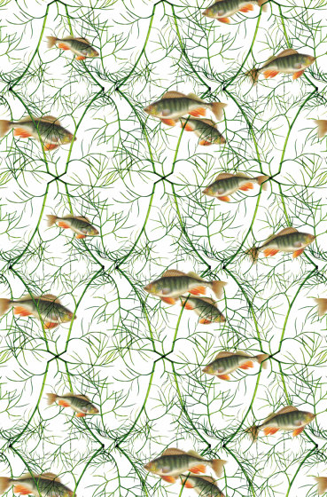 Fish With Dill | Wall coverings / wallpapers | GMM