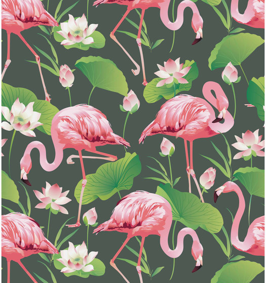 Flamingo Pool | Carta parati / tappezzeria | GMM