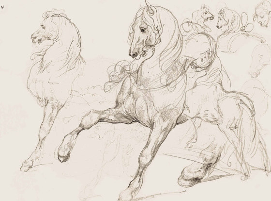 Horse Studies | Carta parati / tappezzeria | GMM