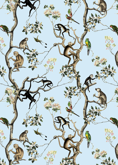 Monkey | Wall coverings / wallpapers | GMM