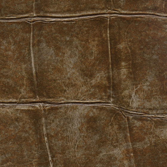 Anguille Big Croco Legend | VP 426 08 | Wall coverings / wallpapers | Elitis