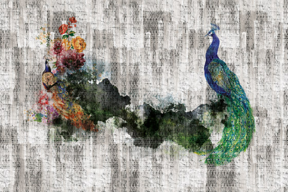 Peacock 01 | Wall art / Murals | INSTABILELAB