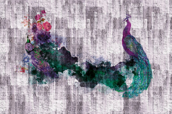 Peacock 02 | Wall art / Murals | INSTABILELAB