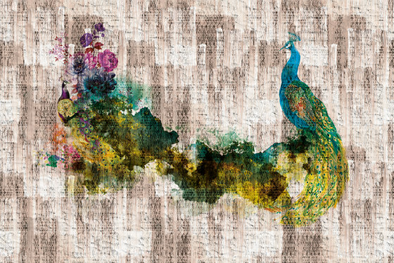 Peacock 03 | Wall art / Murals | INSTABILELAB