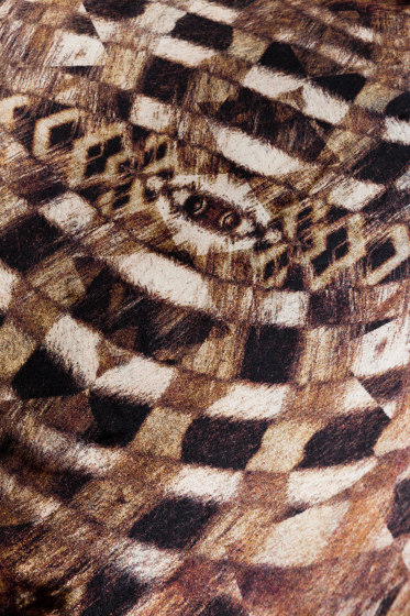 Extinct Animals | Aristo Quagga | Rugs | moooi carpets