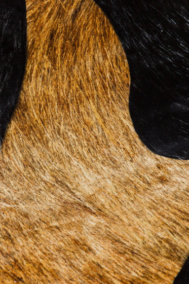 Extinct Animals | Bearded Leopard | Formatteppiche | moooi carpets