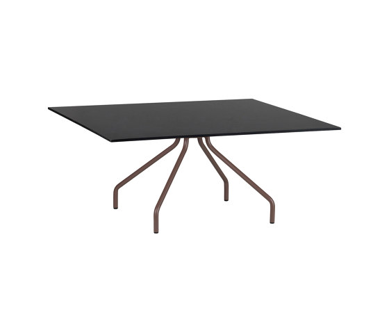 Weave |  Coffe table | Compact top | Dining tables | Point