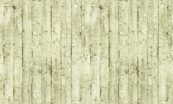 BRAVO - Papel pintado textura de madera EDEM 81108BR03 | Revestimientos de paredes / papeles pintados | e-Delux