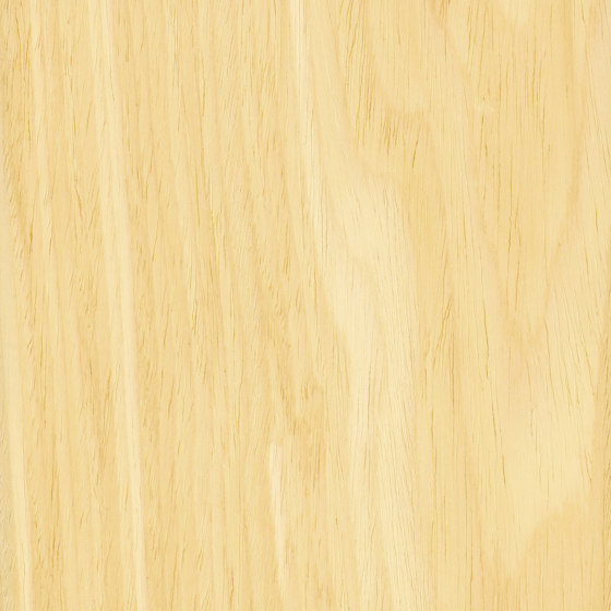 Wood Panels | Holz Furniere | Gustafs