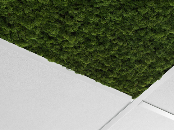Ceiling (EU Version) | Pannelli soffitto | Nordgröna