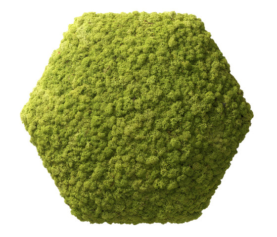 Convex Hexagon | Sound absorbing objects | Nordgröna