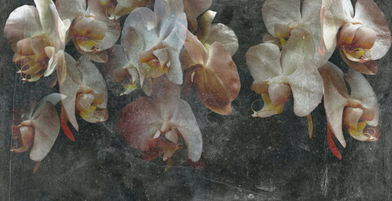 Paestum Color Dark | Wandbilder / Kunst | TECNOGRAFICA