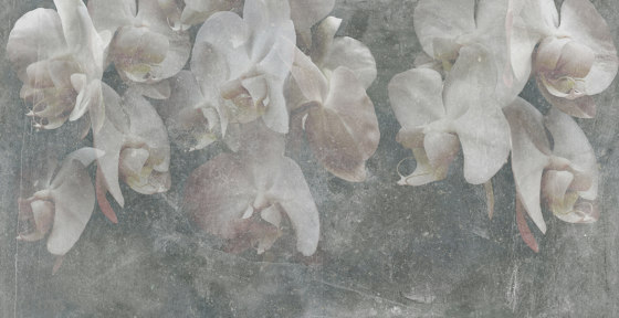 Paestum Grey Light | Wandbilder / Kunst | TECNOGRAFICA