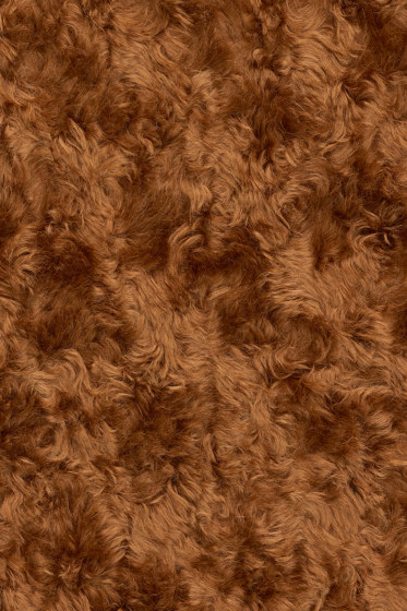 Argo 2 - 0343 | Upholstery fabrics | Kvadrat