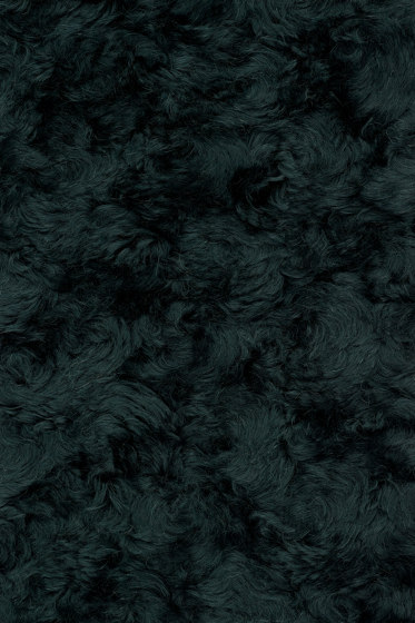 Argo 2 - 0982 | Upholstery fabrics | Kvadrat