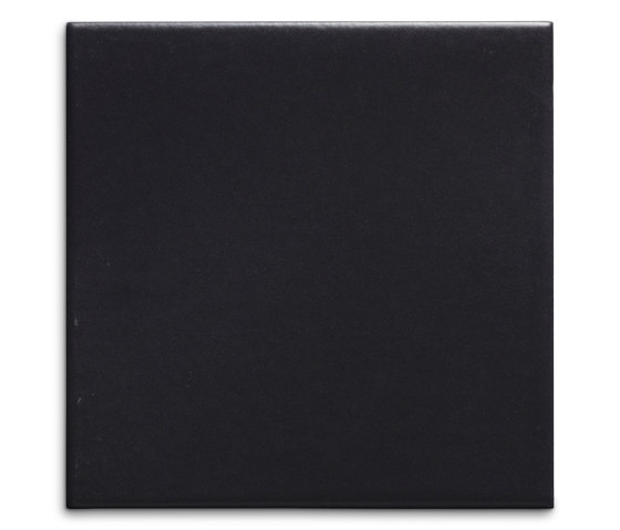 Pop Solid Color | Black swan | Ceramic tiles | File Under Pop
