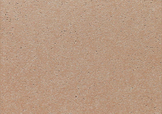 concrete skin | FE ferro larch | Beton Platten | Rieder