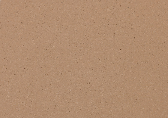 concrete skin | FL ferro light larch | Beton Platten | Rieder