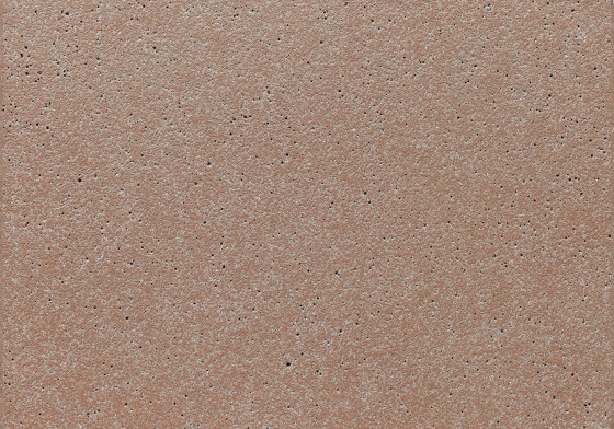 concrete skin | FE ferro oak | Pannelli cemento | Rieder