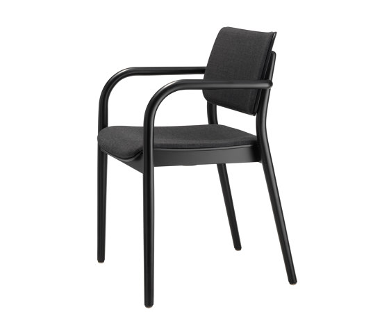 Viena Holzstuhl gepolstert | Chairs | seledue