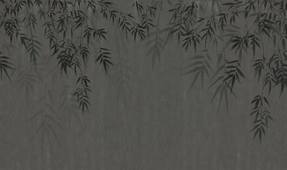 concrete | bamboo leaf | Peintures murales / art | N.O.W. Edizioni