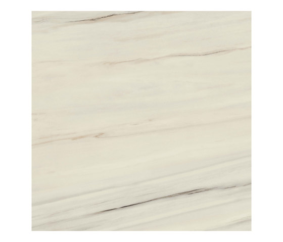 Marvel Bianco Fantastico 120x120 Lappato | Carrelage céramique | Atlas Concorde