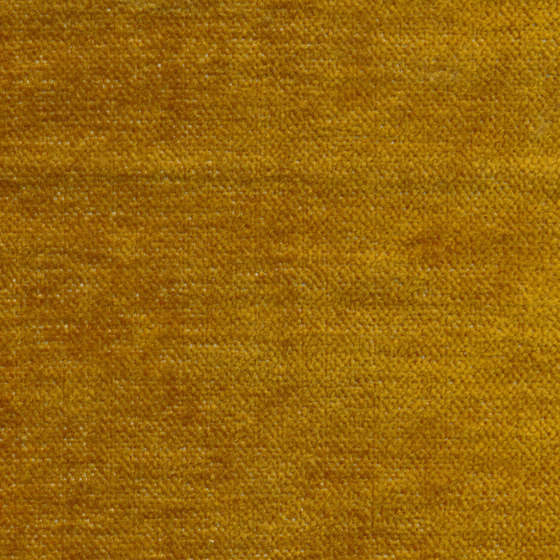 Asmara | Colour Gold 853 | Drapery fabrics | DEKOMA