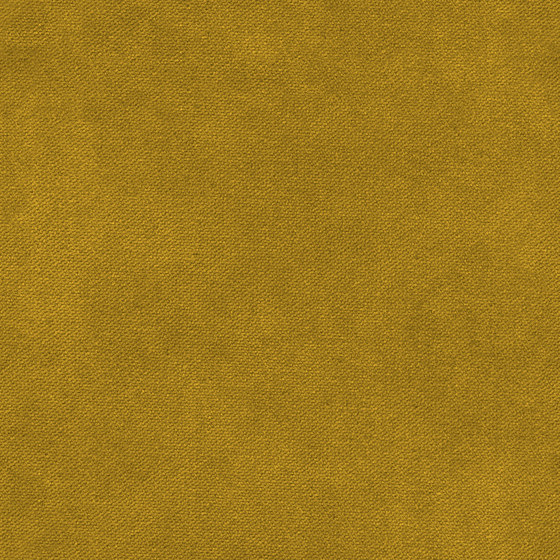 Henry | Colour
Gold 193 | Drapery fabrics | DEKOMA