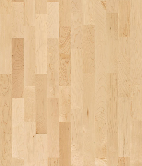 Activity Floor | Hard Maple | Planchers bois | Kährs