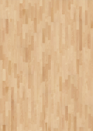 American Naturals | Hard Maple Toronto | Wood flooring | Kährs