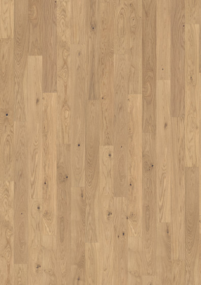 Atelier | Oak CD White 11 mm | Pavimenti legno | Kährs