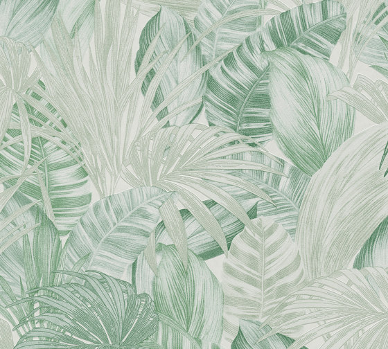 Greenery | Papier Peint 368202 | Revêtements muraux / papiers peint | Architects Paper