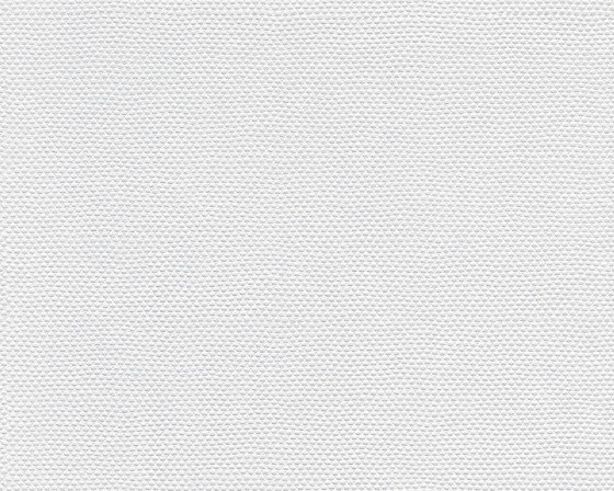 Meistervlies 2020 | Papier Peint 141019 | Revêtements muraux / papiers peint | Architects Paper