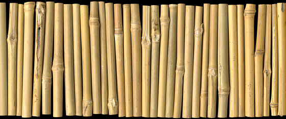 Ap Digital 4 | Papier Peint DD108650 Bambus Onblack | Revêtements muraux / papiers peint | Architects Paper