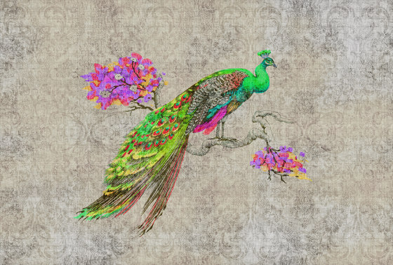 Walls By Patel 2 | Wallpaper DD114307 Peacock 1 | Wall coverings / wallpapers | Architects Paper