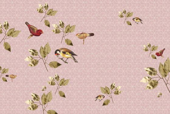 Walls By Patel 2 | Wallpaper DD114322 Brillantbirds1 | Wall coverings / wallpapers | Architects Paper