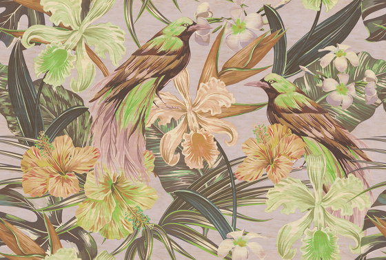 Walls By Patel 2 | Wallpaper DD114417 Exotic Birds 2 | Wall coverings / wallpapers | Architects Paper