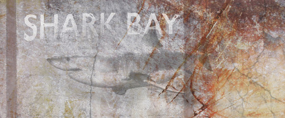 Ap Digital 4 | Tapete | Digitaldruck DD108945 Shark Bay | Wandbeläge / Tapeten | Architects Paper