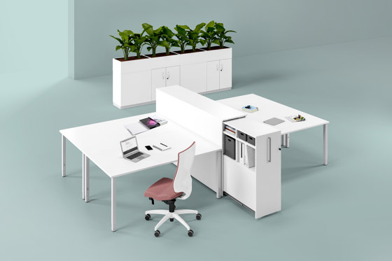Sympas Schreibtisch | Schreibtische | Assmann Büromöbel